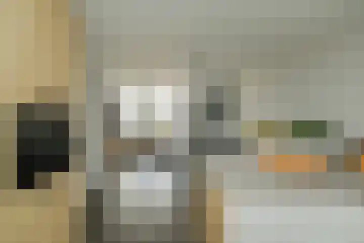 Ericastraat 1 Noordwijkerhout thumbnail 21
