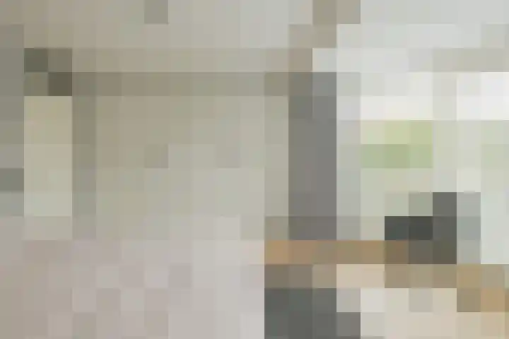 Ericastraat 1 Noordwijkerhout thumbnail 26