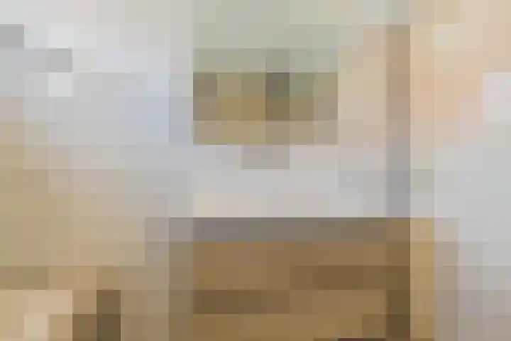 Ericastraat 1 Noordwijkerhout thumbnail 29