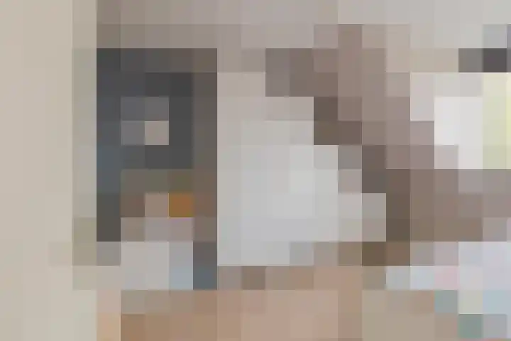 Ericastraat 1 Noordwijkerhout thumbnail 32