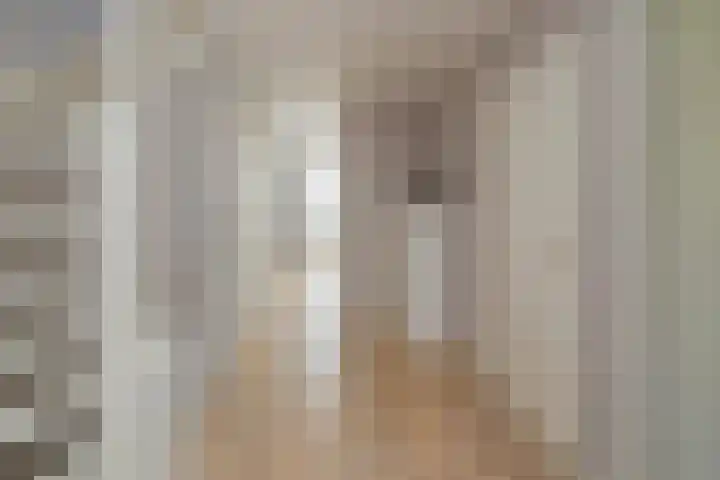 Ericastraat 1 Noordwijkerhout thumbnail 35