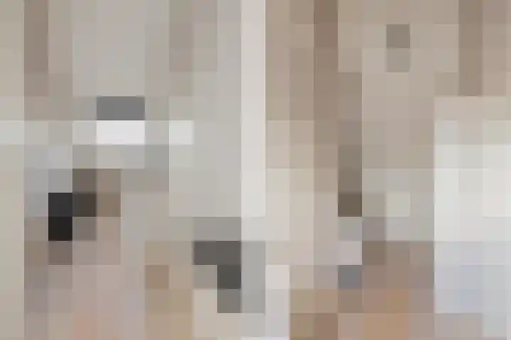 Ericastraat 1 Noordwijkerhout thumbnail 36