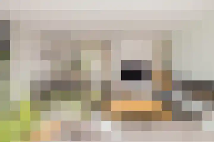 Ericastraat 1 Noordwijkerhout thumbnail 4