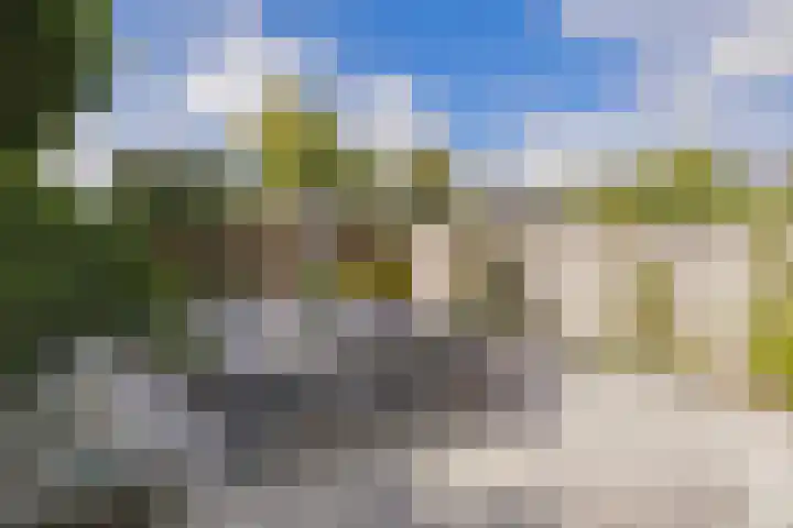 Ericastraat 1 Noordwijkerhout thumbnail 40