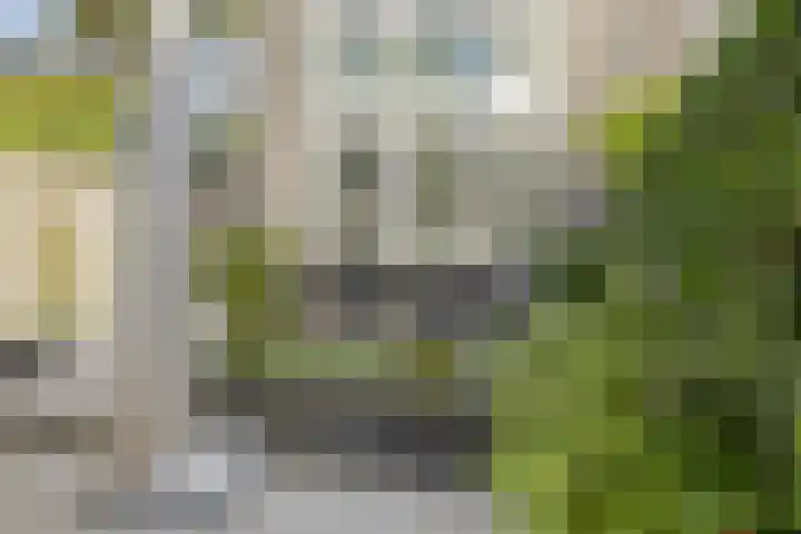 Ericastraat 1 Noordwijkerhout thumbnail 41