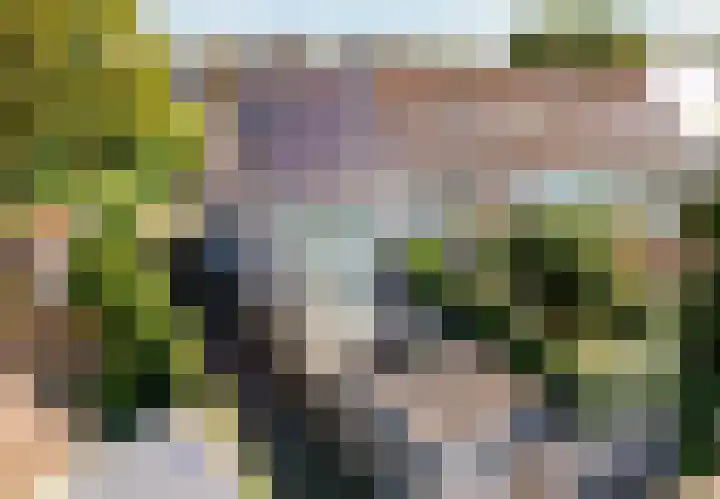 Ericastraat 1 Noordwijkerhout thumbnail 48