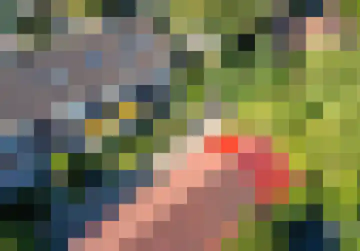 Ericastraat 1 Noordwijkerhout thumbnail 49