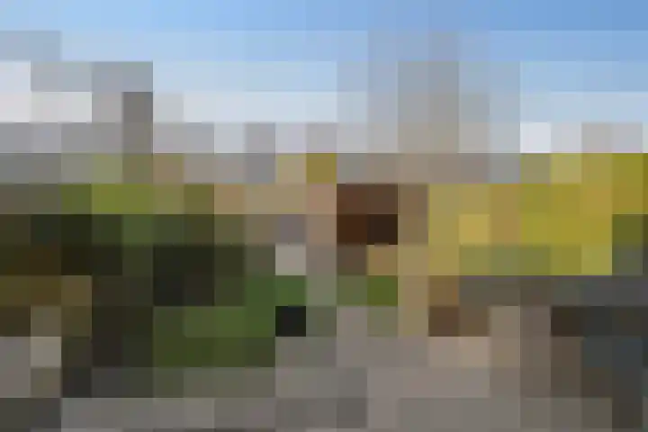 Ericastraat 10 Zwijndrecht thumbnail 12