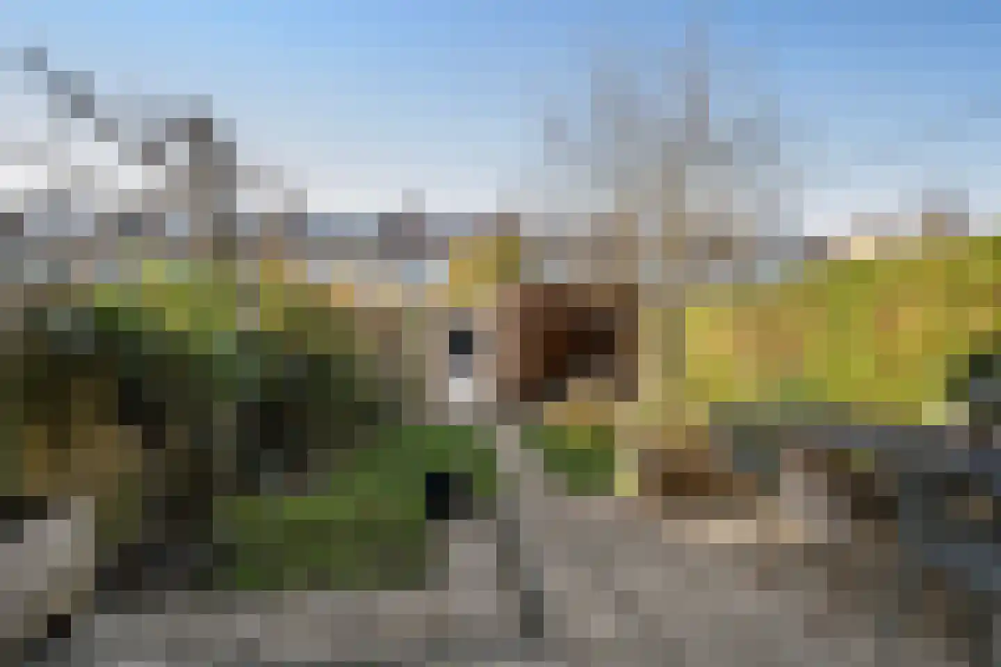 Ericastraat 10 Zwijndrecht thumbnail 12