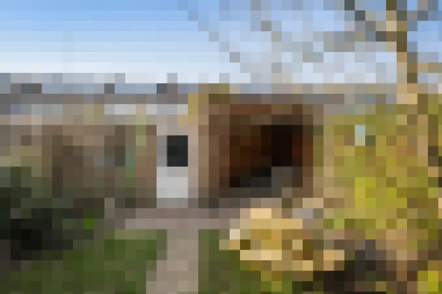 Ericastraat 10 Zwijndrecht thumbnail 13