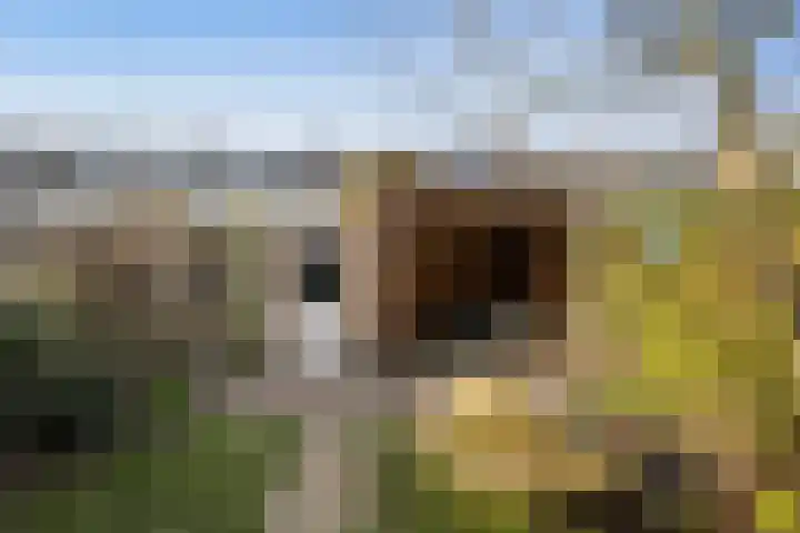 Ericastraat 10 Zwijndrecht thumbnail 13
