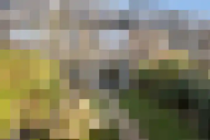 Ericastraat 10 Zwijndrecht thumbnail 15