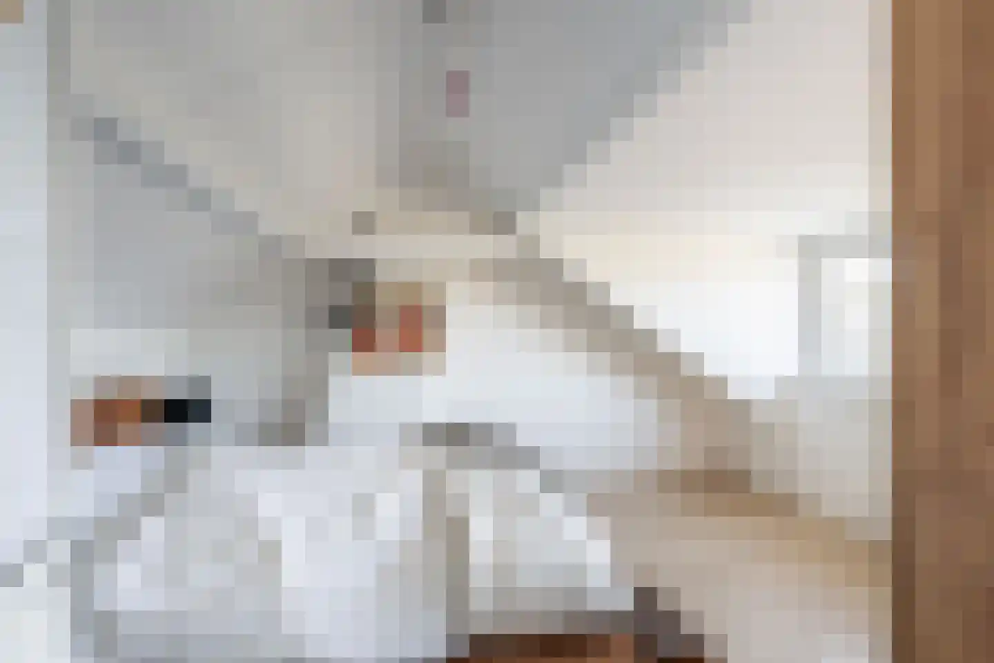 Ericastraat 10 Zwijndrecht thumbnail 31