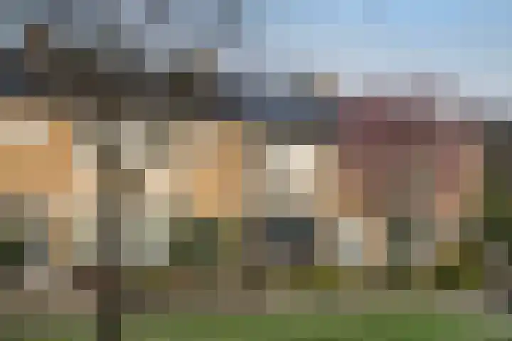 Ericastraat 10 Zwijndrecht thumbnail 35