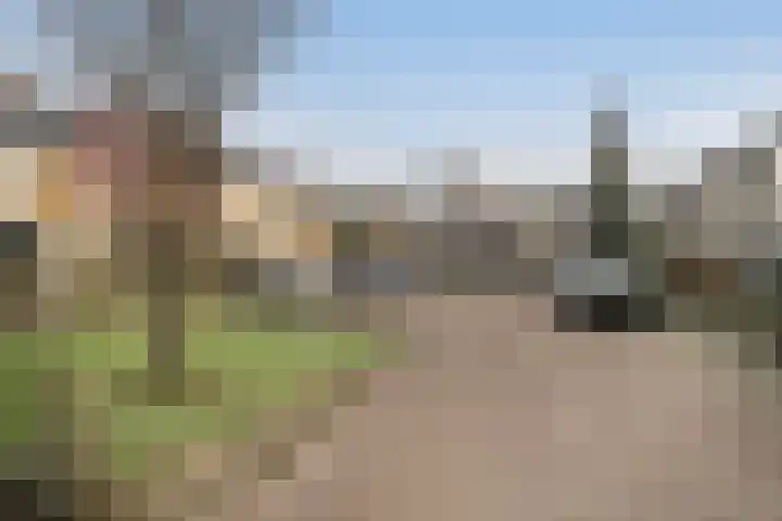 Ericastraat 10 Zwijndrecht thumbnail 36