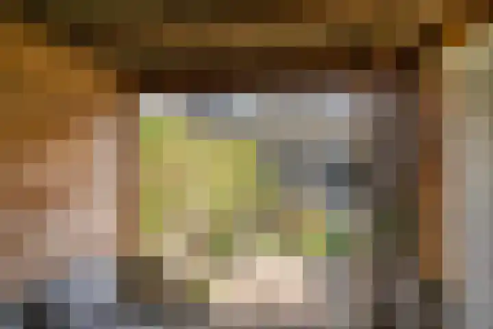 Ericastraat 10 Zwijndrecht thumbnail 4