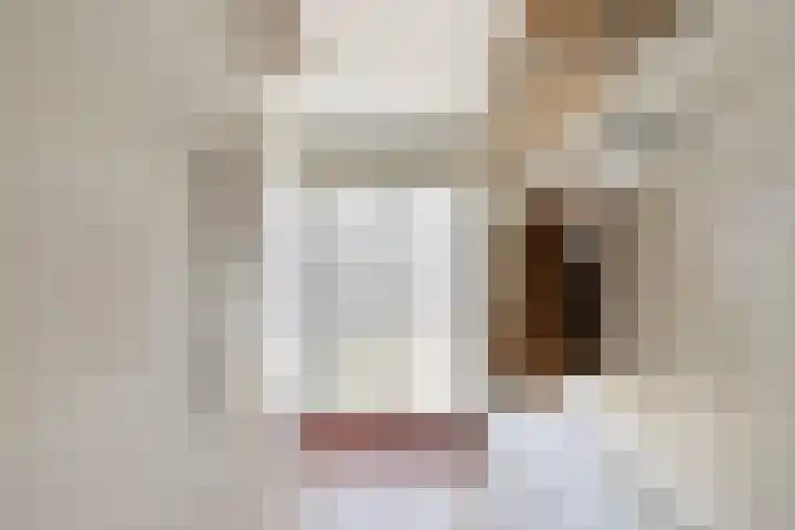 Ericastraat 10 Zwijndrecht thumbnail 6