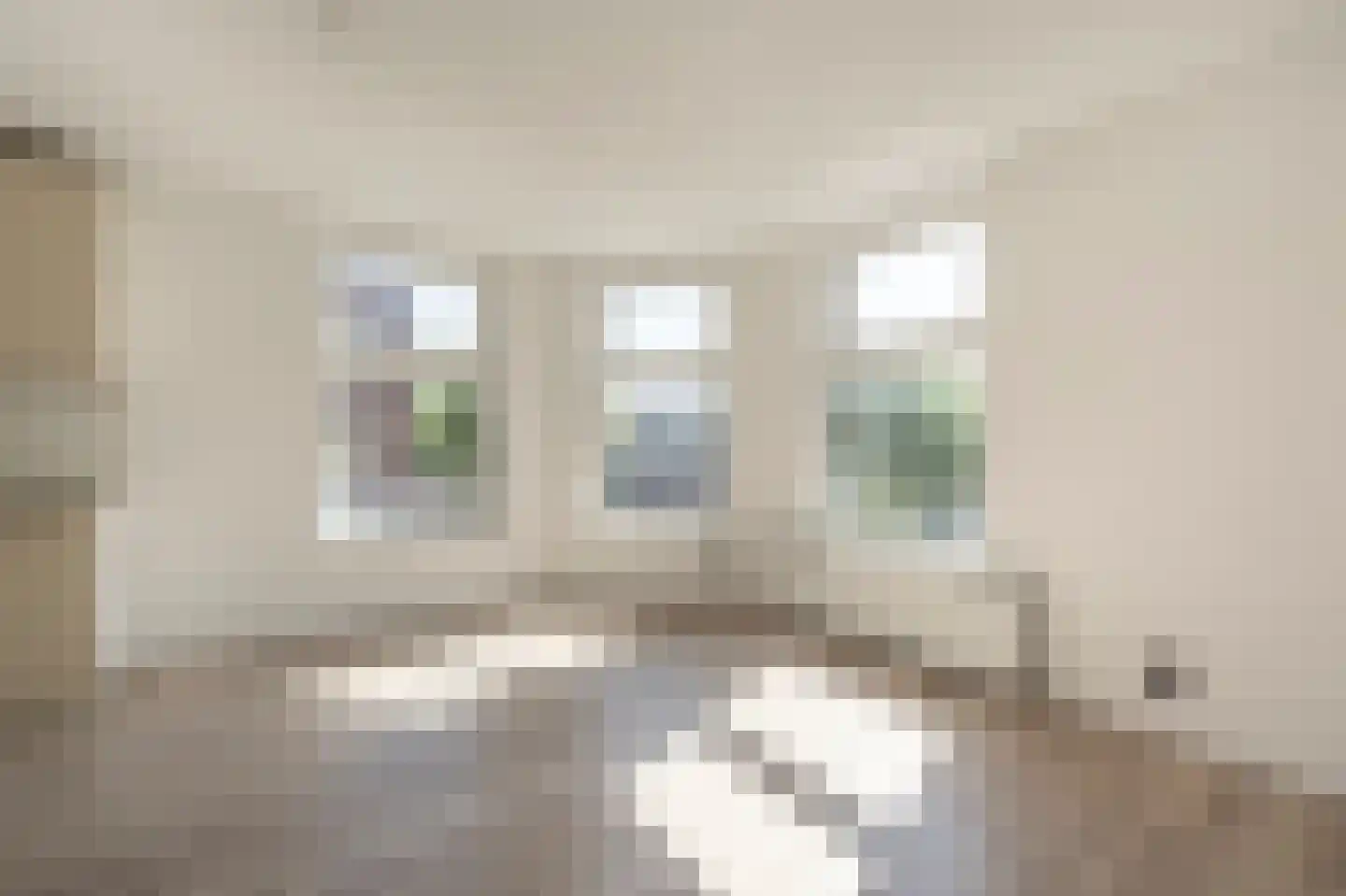 Ericastraat 11 01 Rotterdam thumbnail 5