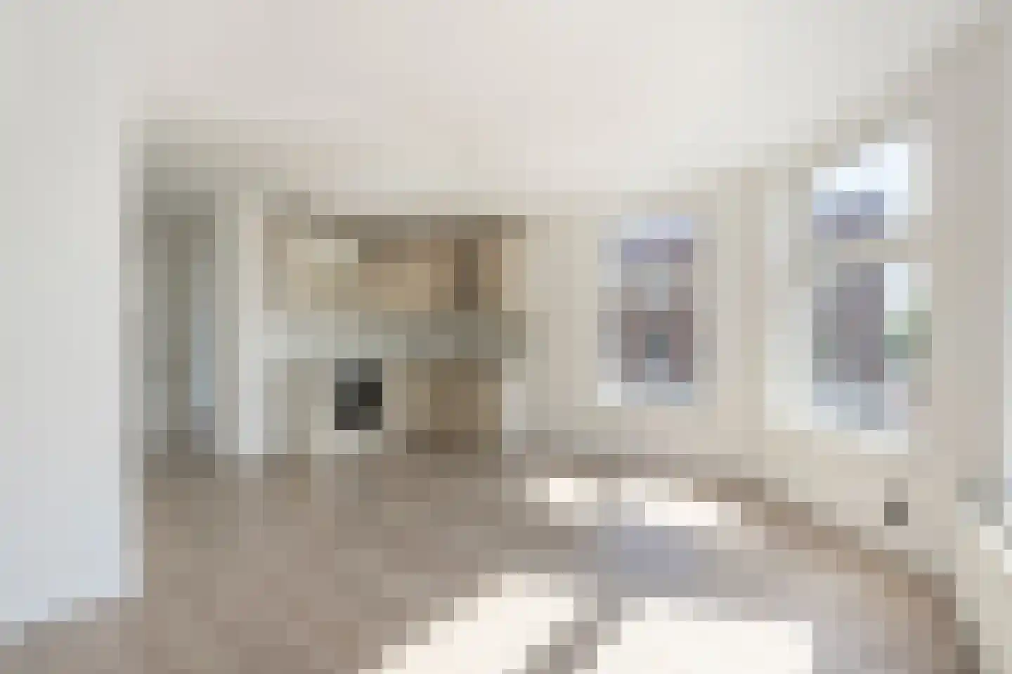 Ericastraat 11 01 Rotterdam thumbnail 6