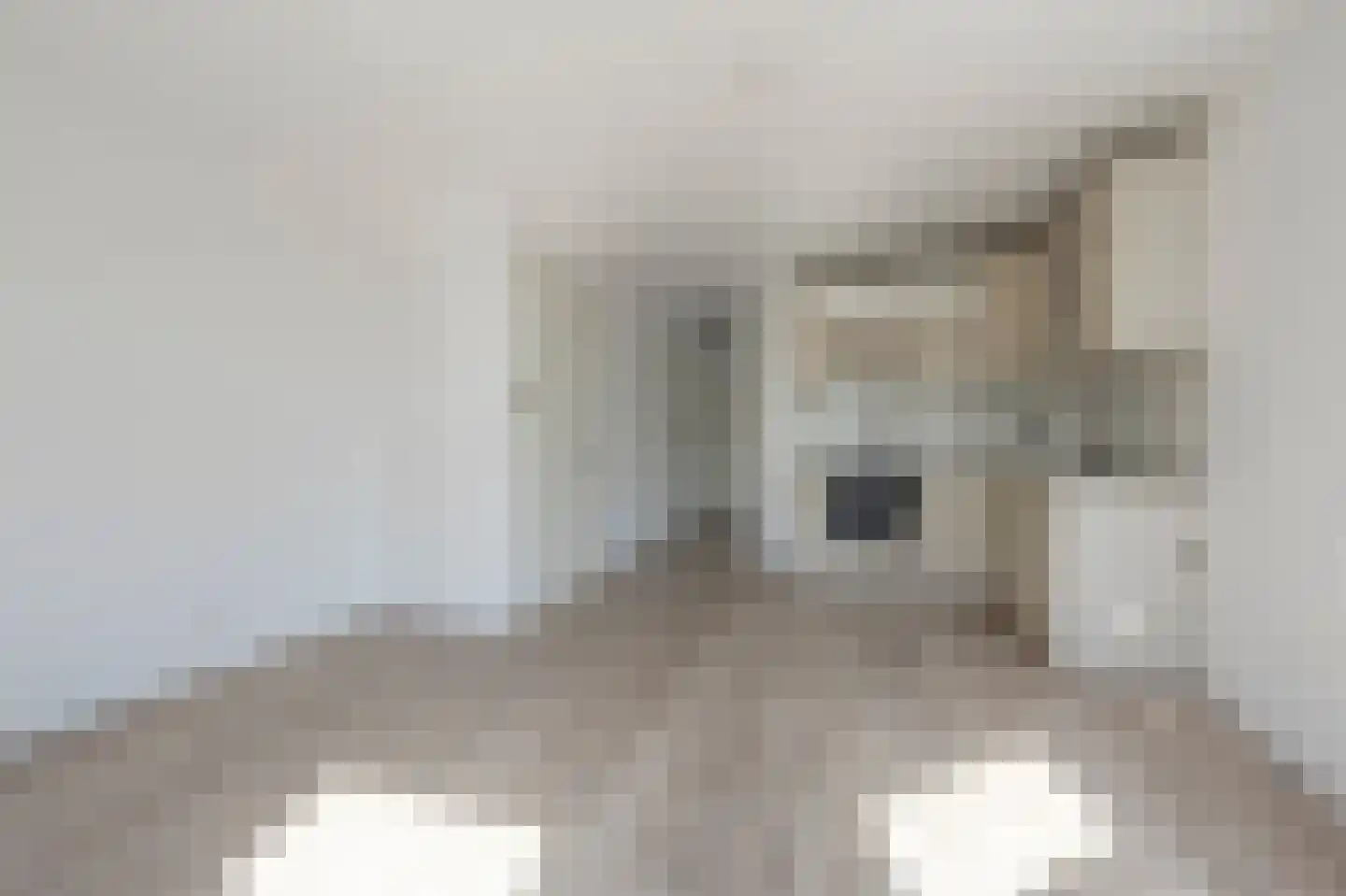 Ericastraat 11 01 Rotterdam thumbnail 7