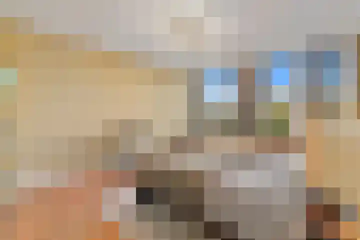 Ericastraat 12 Zwijndrecht thumbnail 31