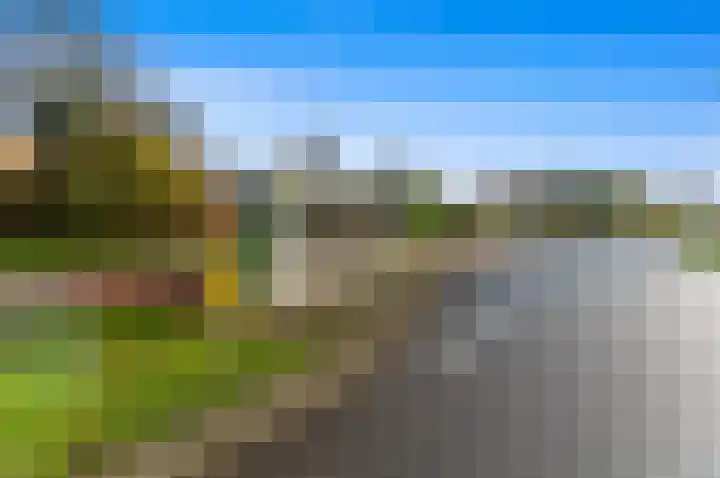 Ericastraat 12 Zwijndrecht thumbnail 42