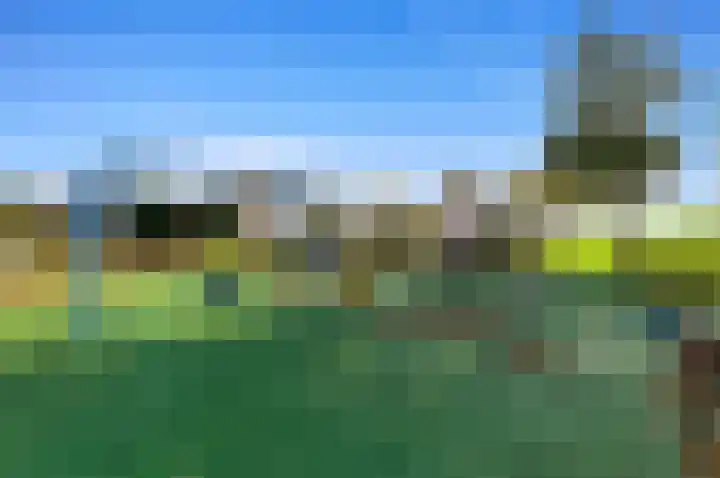 Ericastraat 12 Zwijndrecht thumbnail 47