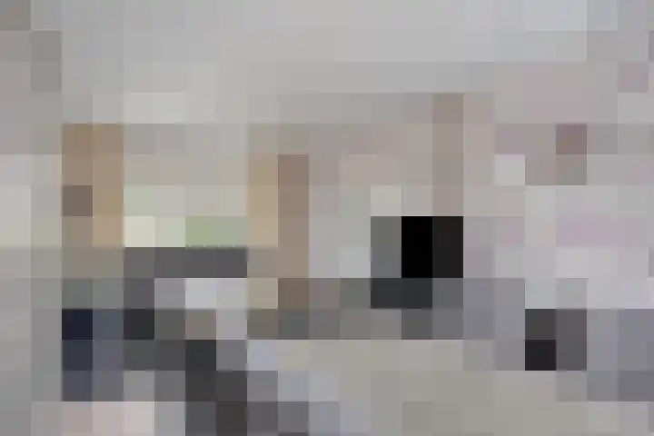 Ericastraat 13 Kerkrade thumbnail 14