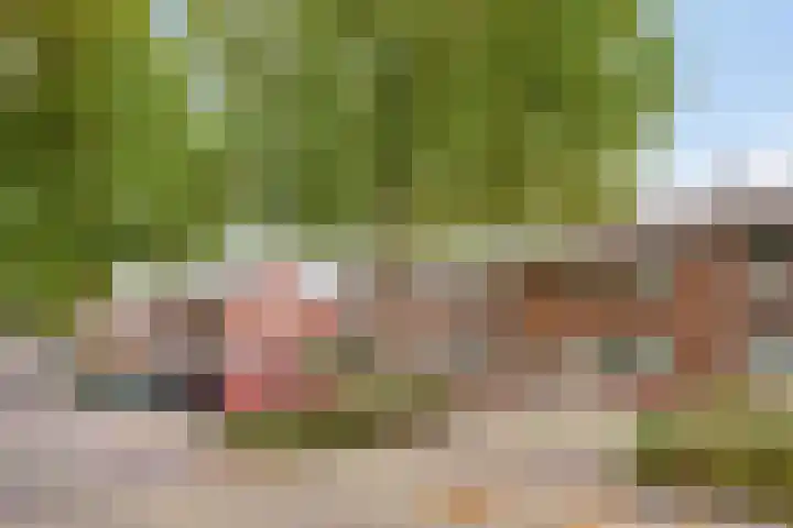 Ericastraat 13 Kerkrade thumbnail 39