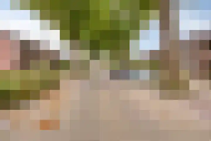 Ericastraat 13 Kerkrade thumbnail 5