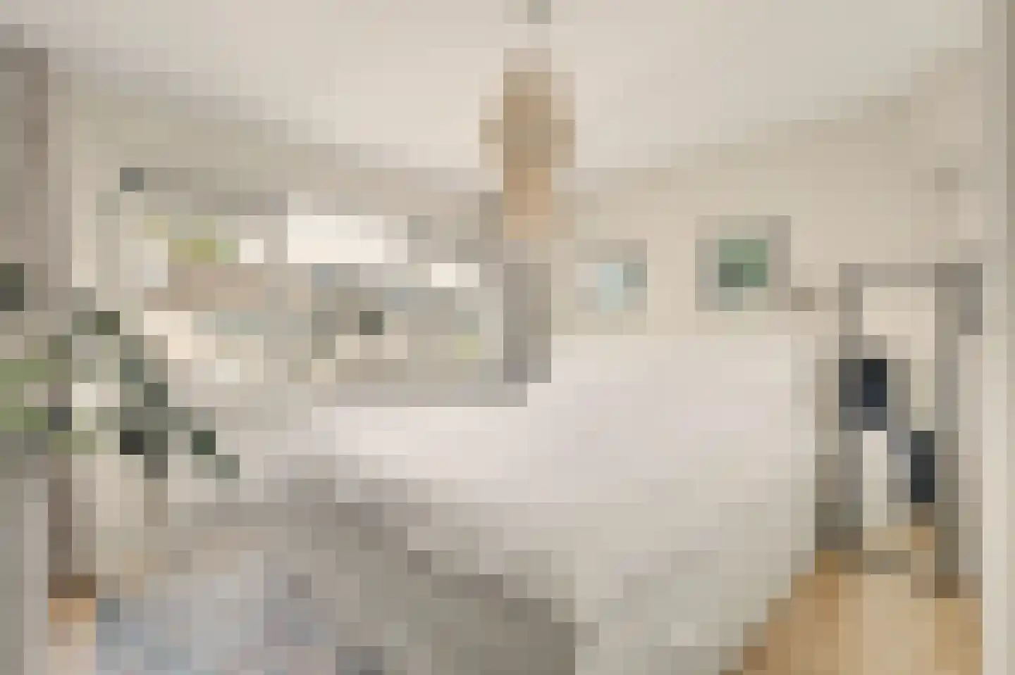 Ericastraat 13 Monster thumbnail 11