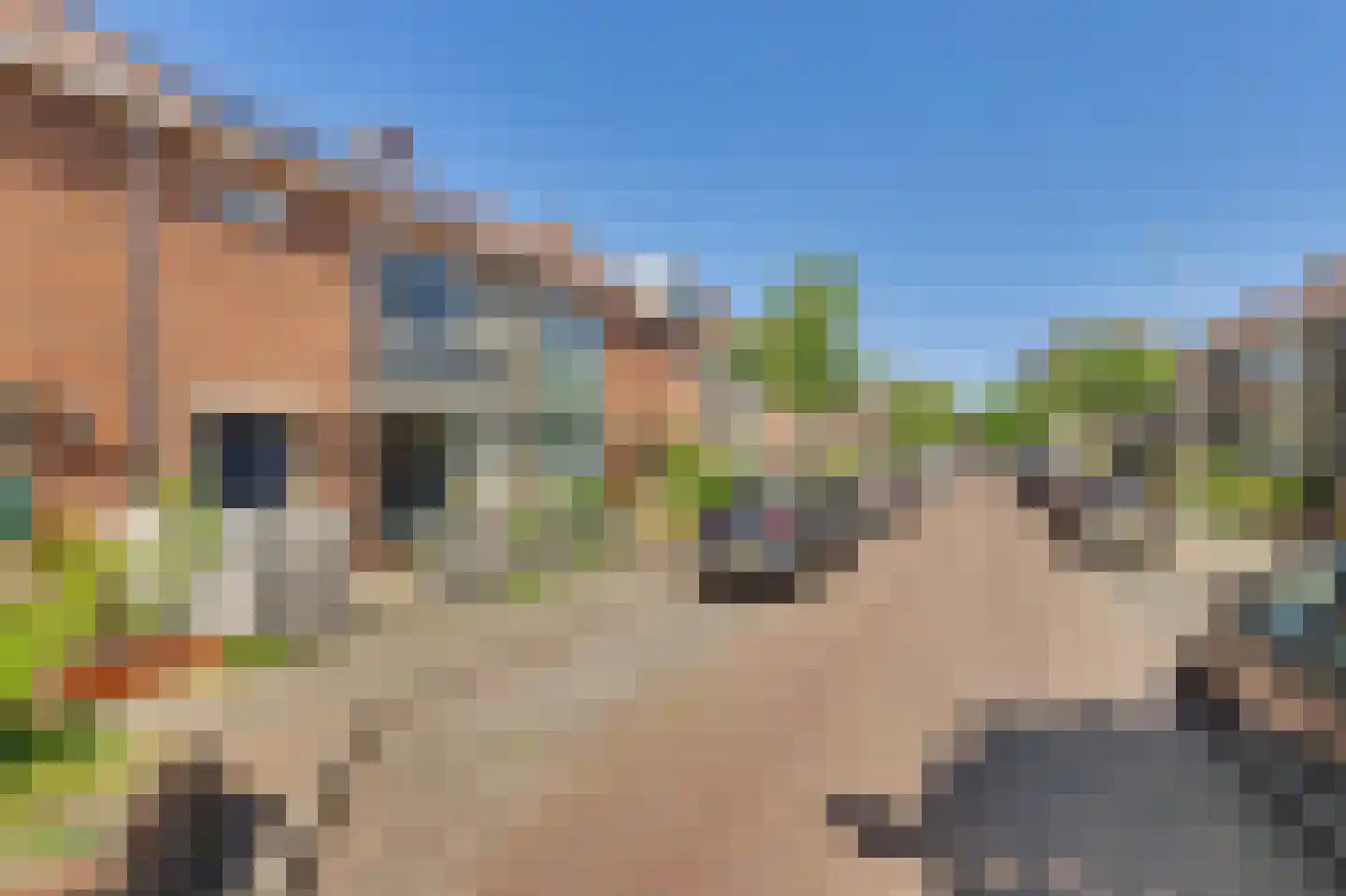 Ericastraat 13 Monster thumbnail 26