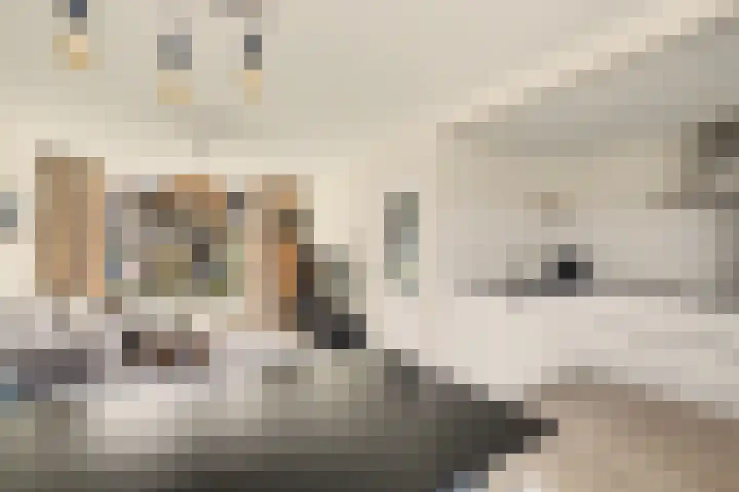 Ericastraat 13 Monster thumbnail 5