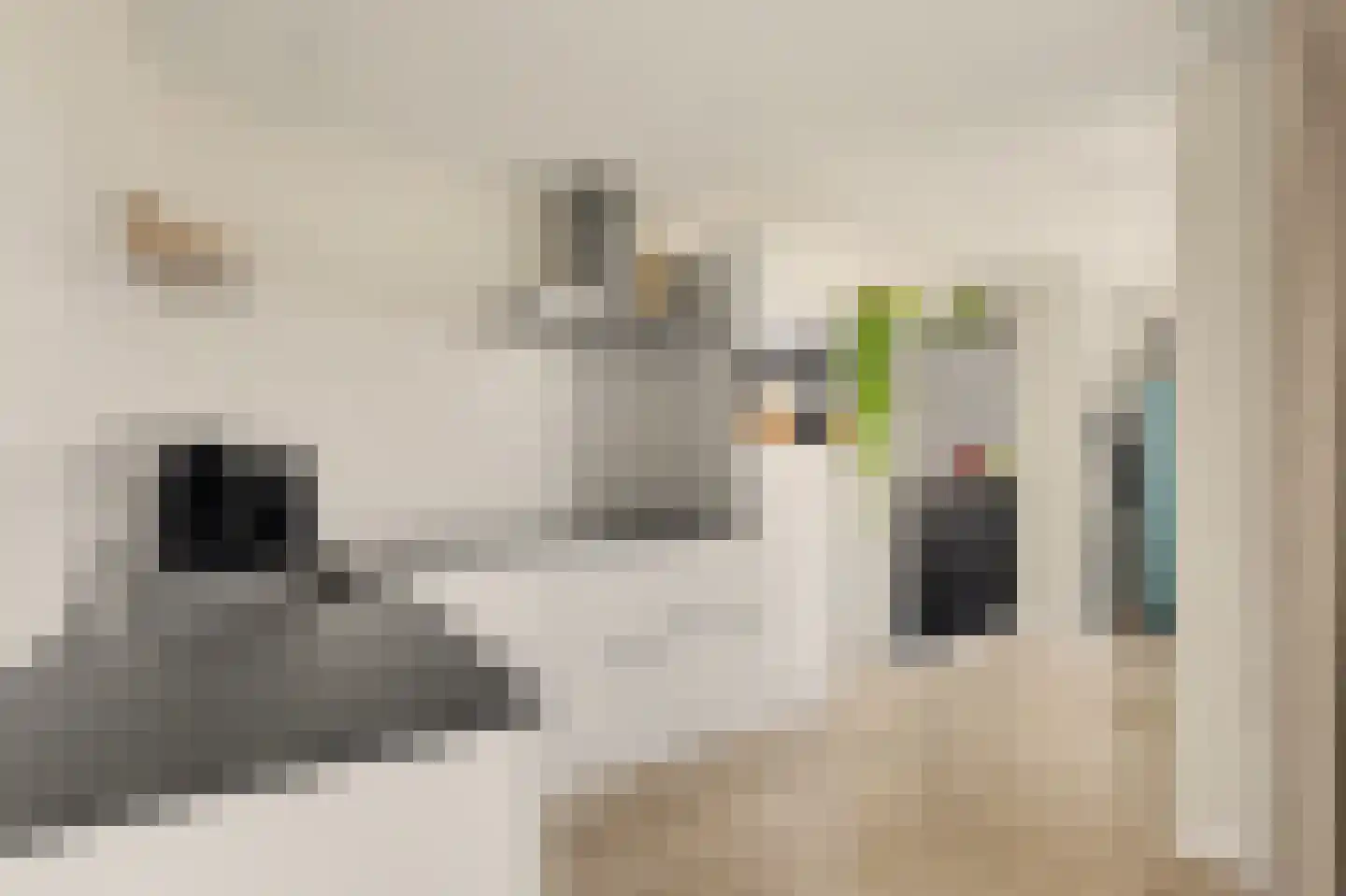 Ericastraat 13 Monster thumbnail 8