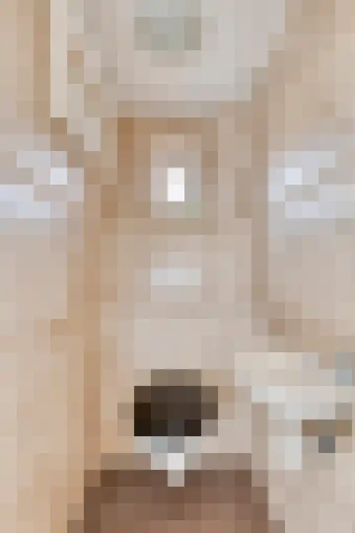 Ericastraat 17 Eindhoven thumbnail 10