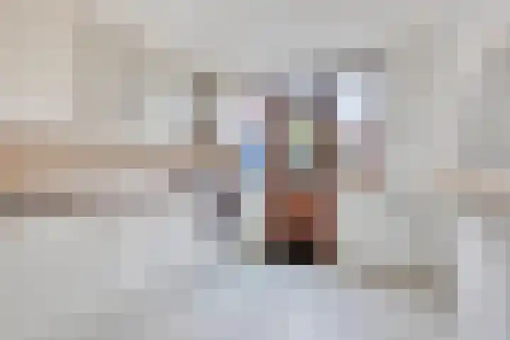 Ericastraat 17 Eindhoven thumbnail 12