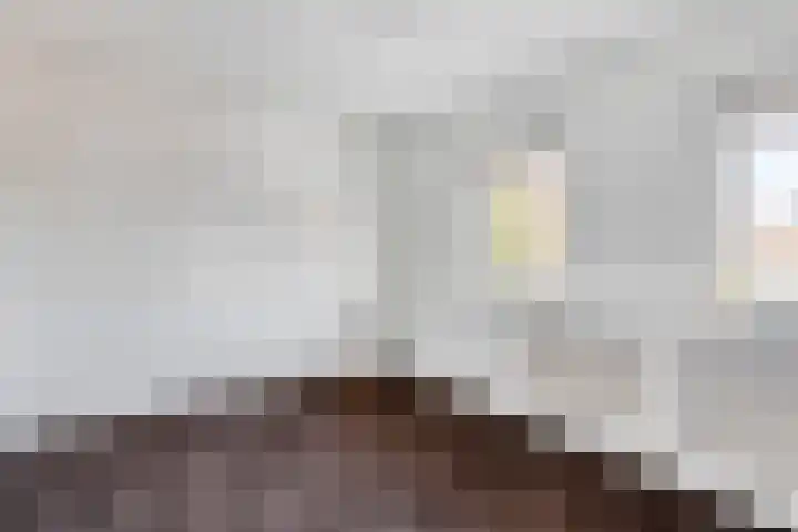Ericastraat 17 Eindhoven thumbnail 20