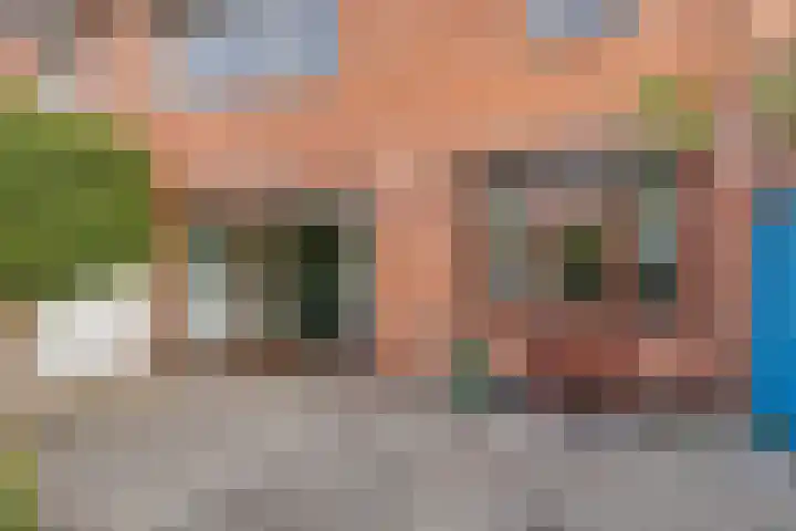 Ericastraat 17 Eindhoven thumbnail 25