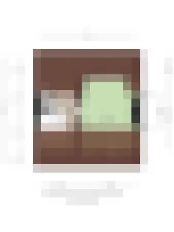 Ericastraat 17 Eindhoven thumbnail 35