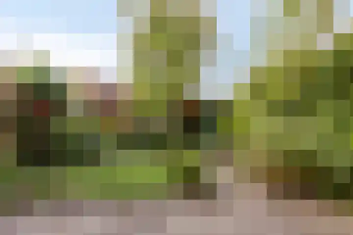 Ericastraat 17 Eindhoven thumbnail 5