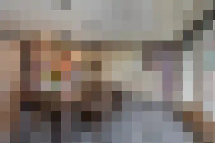 Ericastraat 17 Sint-Michielsgestel thumbnail 10