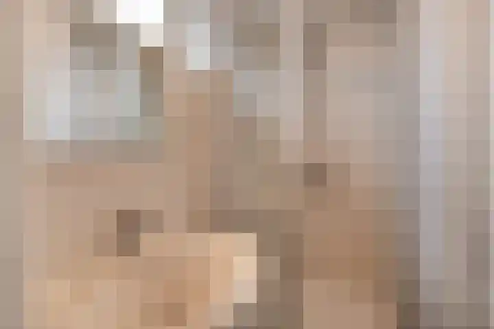 Ericastraat 17 Sint-Michielsgestel thumbnail 18
