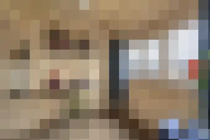 Ericastraat 17 Sint-Michielsgestel thumbnail 21