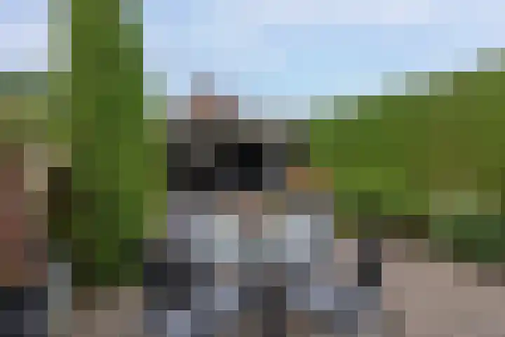 Ericastraat 17 Sint-Michielsgestel thumbnail 27