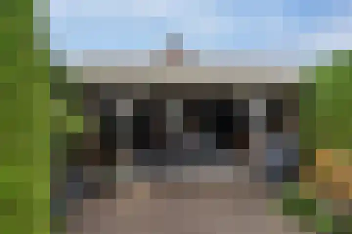 Ericastraat 17 Sint-Michielsgestel thumbnail 28