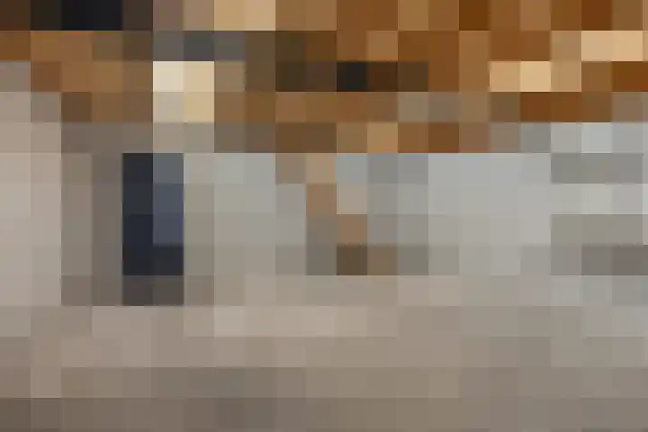 Ericastraat 17 Sint-Michielsgestel thumbnail 29