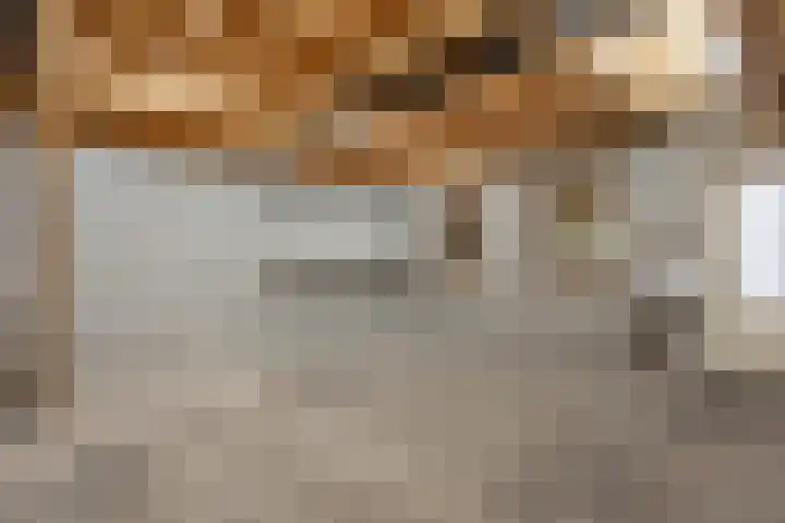 Ericastraat 17 Sint-Michielsgestel thumbnail 30
