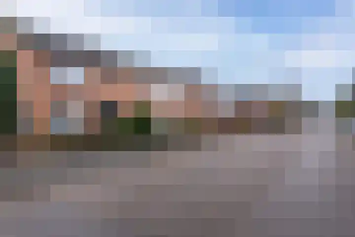 Ericastraat 17 Sint-Michielsgestel thumbnail 32