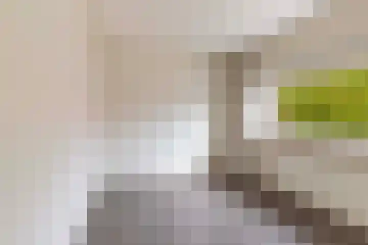 Ericastraat 17 Wezep thumbnail 20