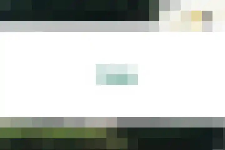 Ericastraat 17 Wezep thumbnail 25